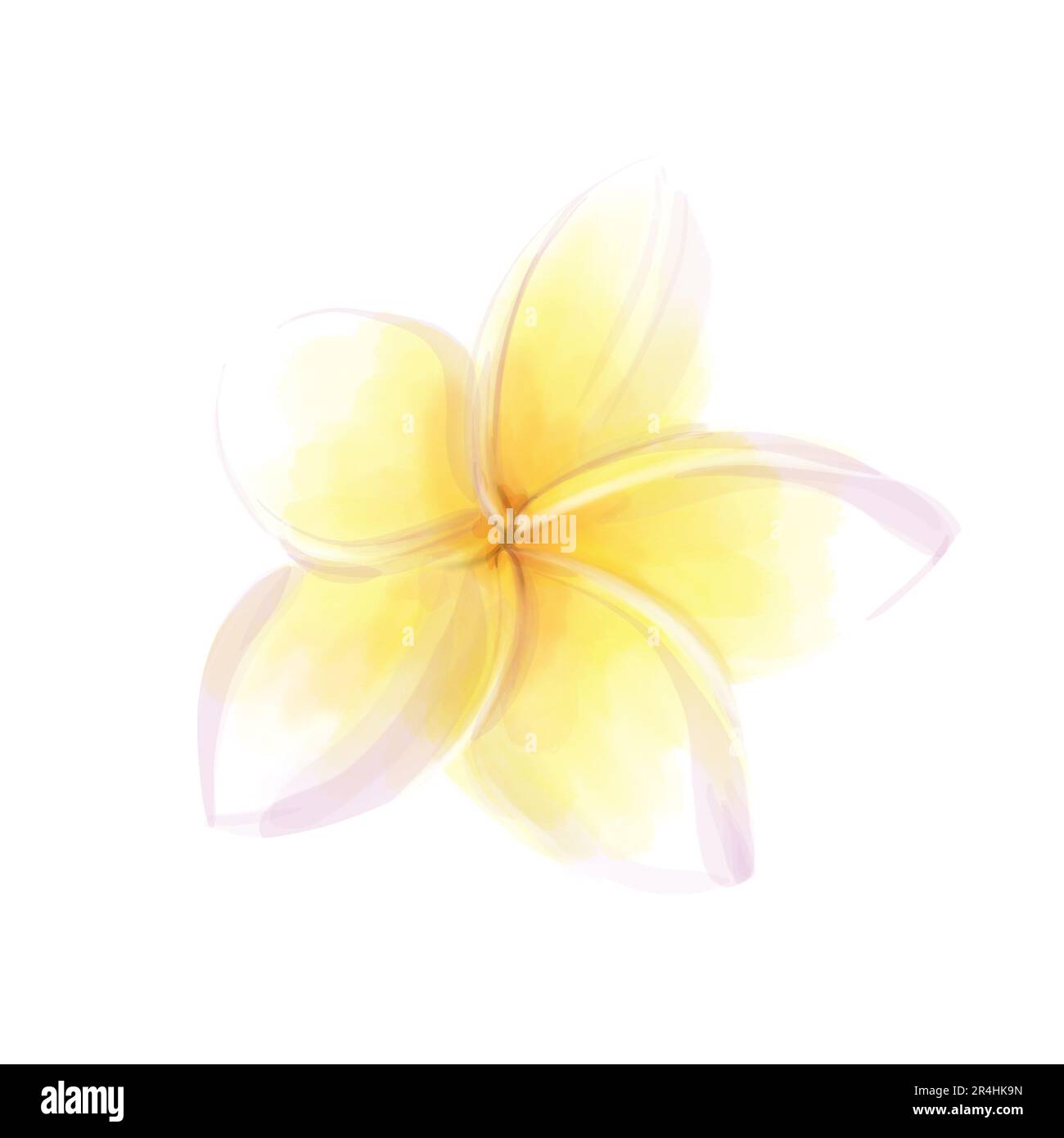 Acquerello illustrazione di plumeria su sfondo bianco. Esotico tropicale fiore frangipani Foto Stock