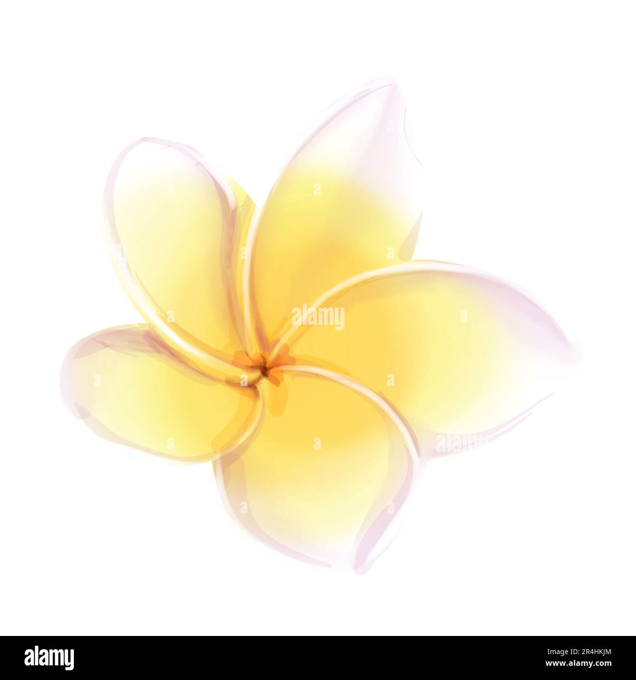 Acquerello illustrazioni tropicali di frangipani fiore. Plumeria gialla. Isolato su sfondo bianco Foto Stock