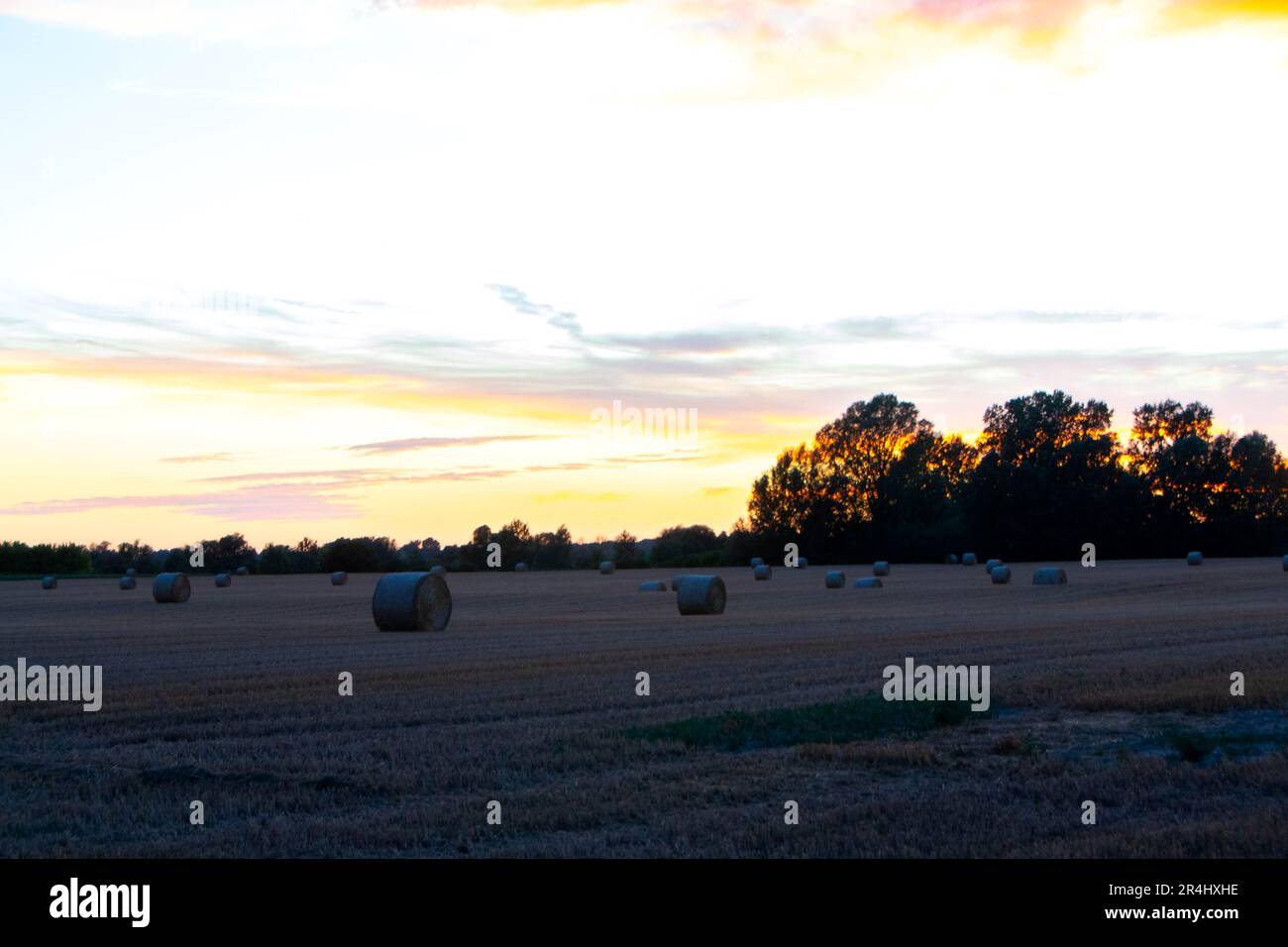 Foto del tramonto sui campi della Vojvodina sui dintorni di un'autentica fattoria Foto Stock