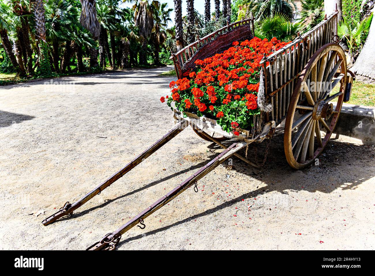 Vecchio carrello in legno decorato con fiori in giardino Foto Stock