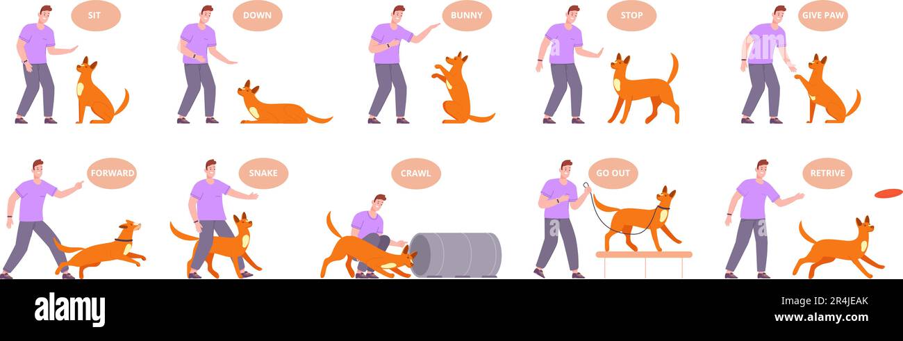 Comando di addestramento del cane. Proprietario insegnare cucciolo obbedire comandi attivi, comportamento animale domestico linguaggio cane mano gesto sedersi su seguire treno in attesa esercizio obbediente, splendido vettore illustrazione di obbedire animale Illustrazione Vettoriale