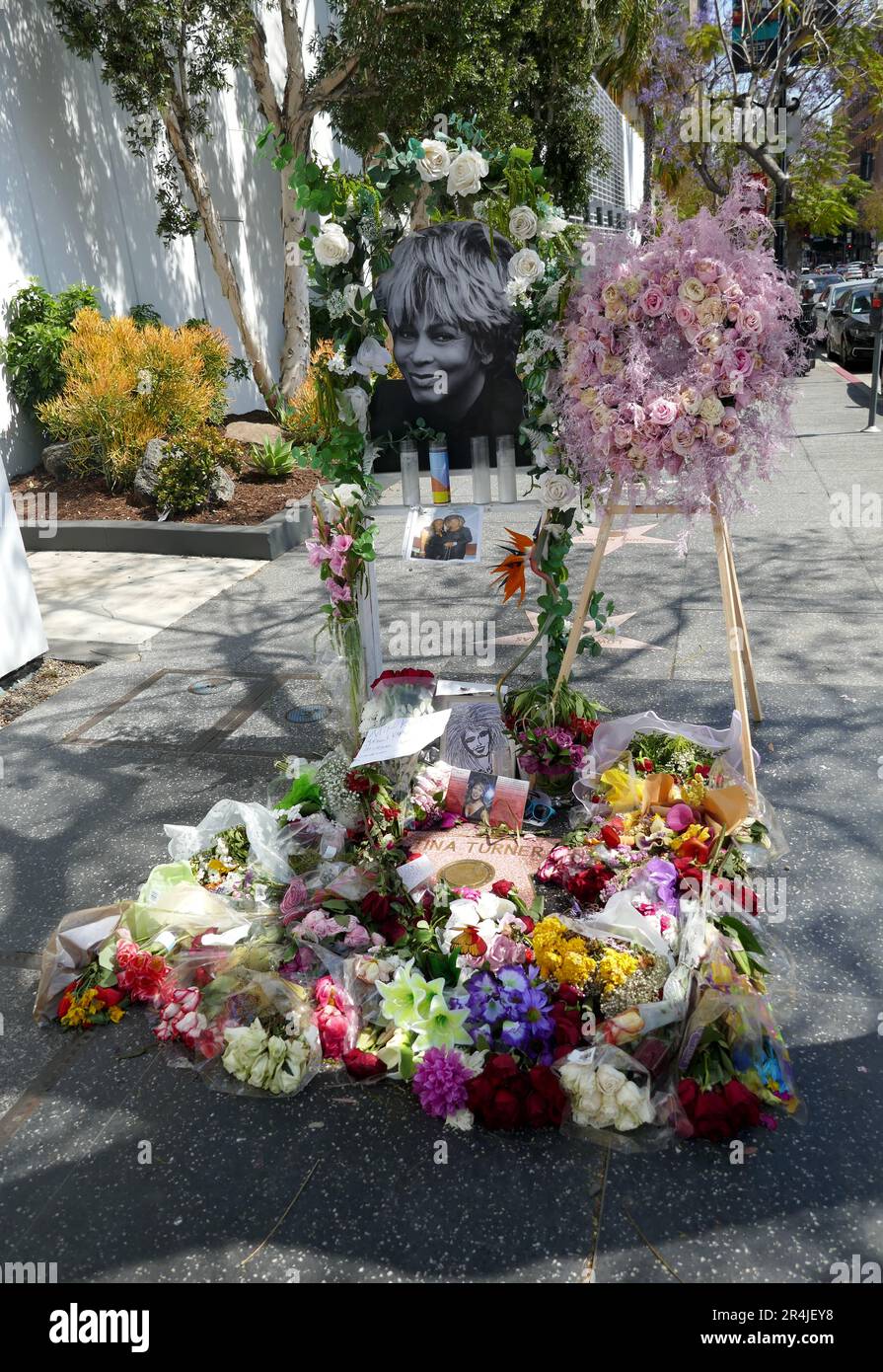 Los Angeles, California, USA 28th maggio 2023 Singer Tina Turner Hollywood Walk of Fame Star with Flowers and Memorial il 28 maggio 2023 a Los Angeles, California, USA. Foto di Barry King/Alamy Live News Foto Stock