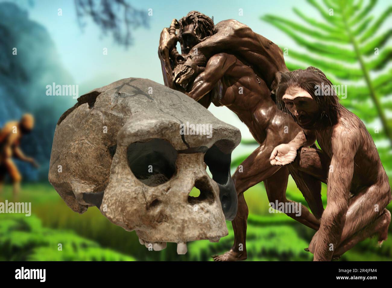Homo erectus è una specie di ominidi estinta appartenente al genere Homo. Originariamente era chiamato Pithecanthropus e Giava man. Foto Stock