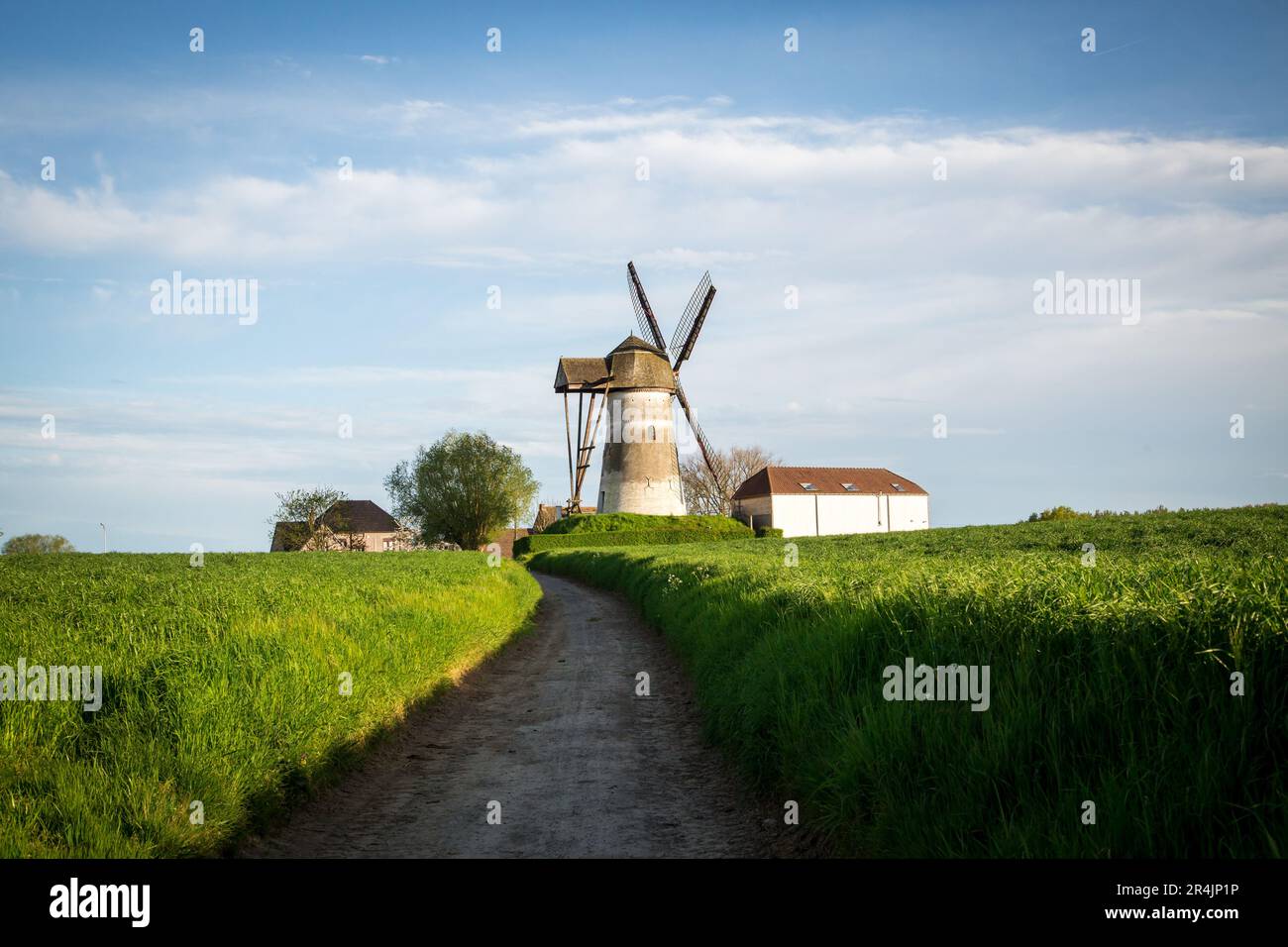 Mulino a vento a Ninove, Denderstreek, Fiandre Orientali, Belgio Foto Stock