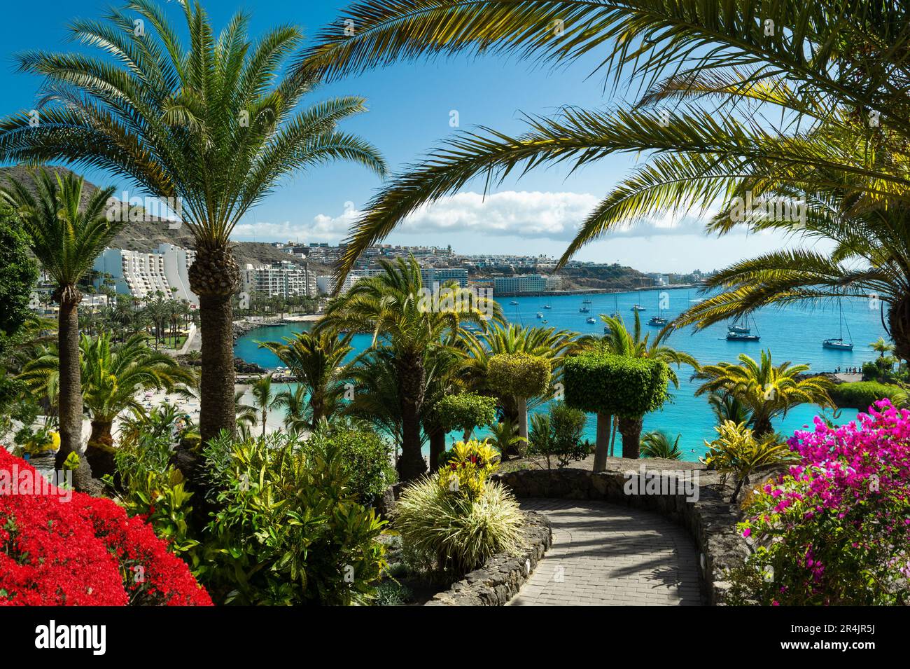 Vista di un bel giardino pubblico con palme tropicali e fiori rossi sopra la costa blu dell'Oceano Atlantico a Las Palmas, Spagna Foto Stock