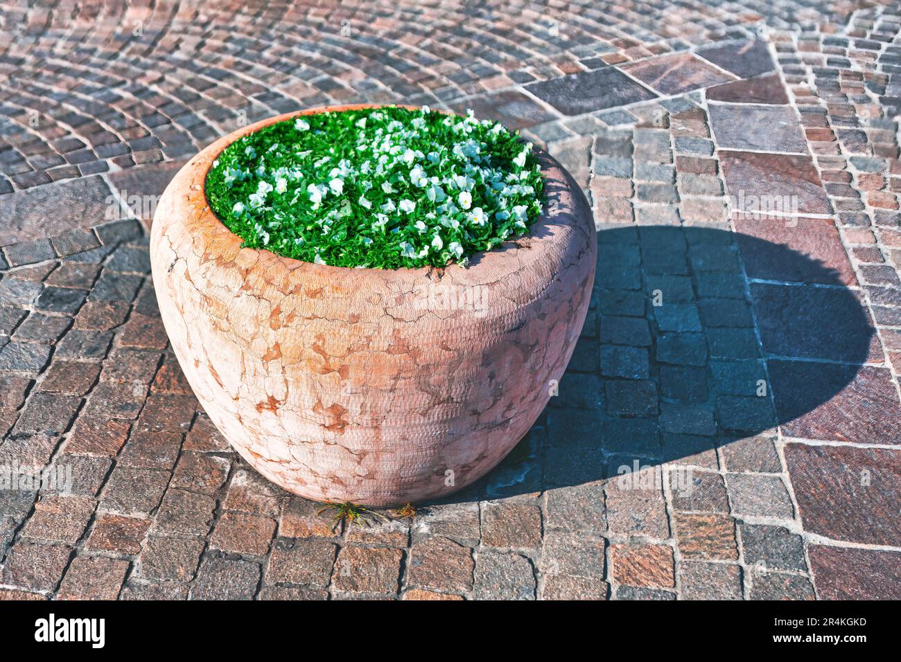 Vaso di pietra di strada con fiori . Vaso fiorito sul pavimento Foto Stock