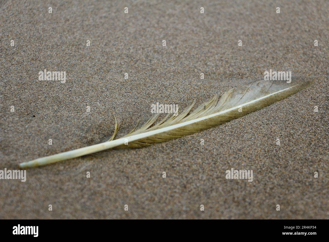 Cose da vedere a Hainan Foto Stock