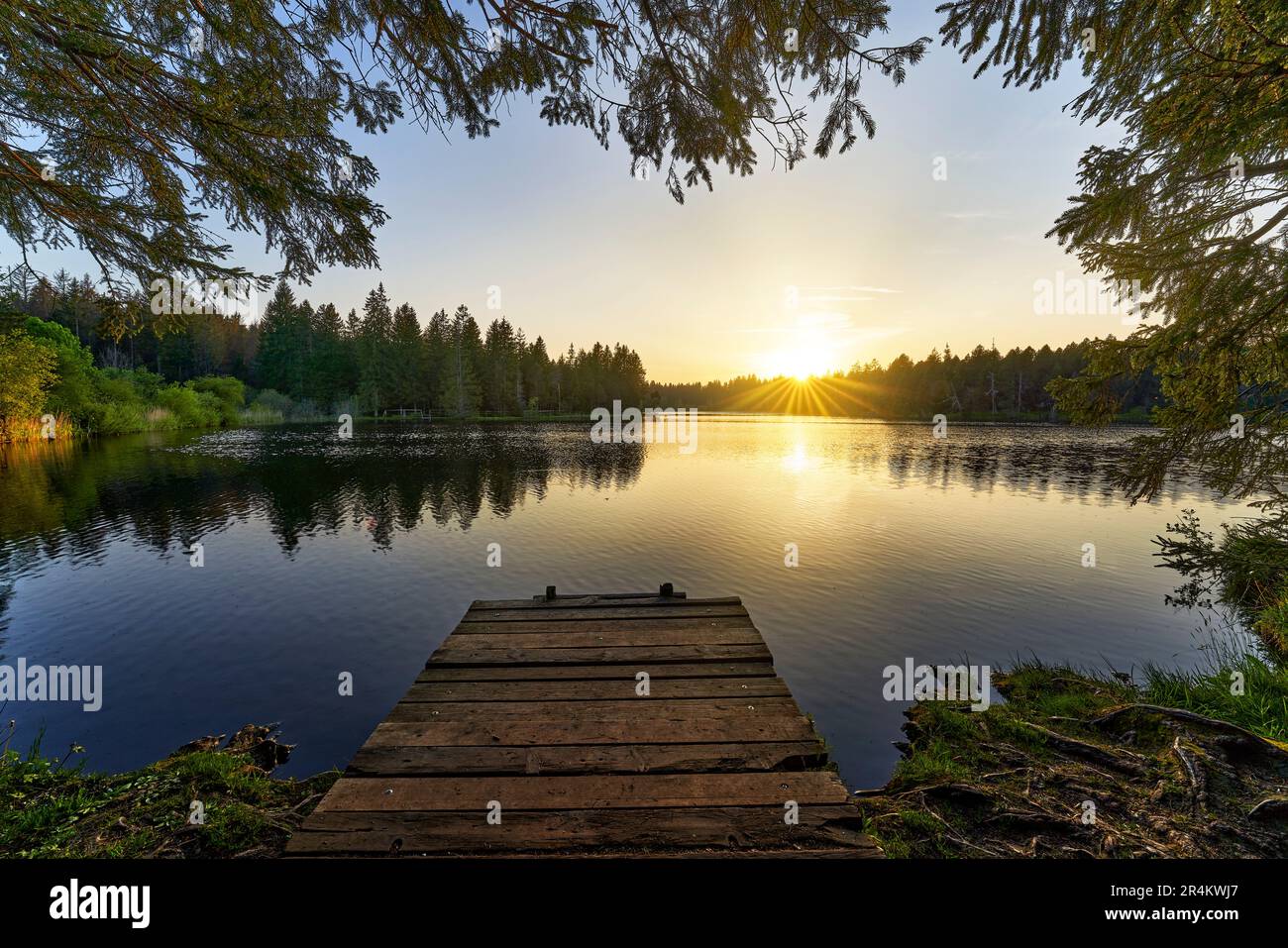 Il piccolo lago fossato, Étang de la Gruère nel cantone svizzero del Giura. Gli stati d'animo della sera al tramonto. Foto Stock