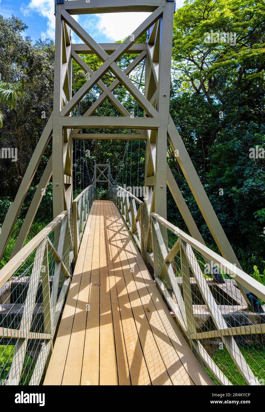 The Historic Kapaia Swinging Bridge, Lihue, Kauai, Hawaii, USA Foto Stock
