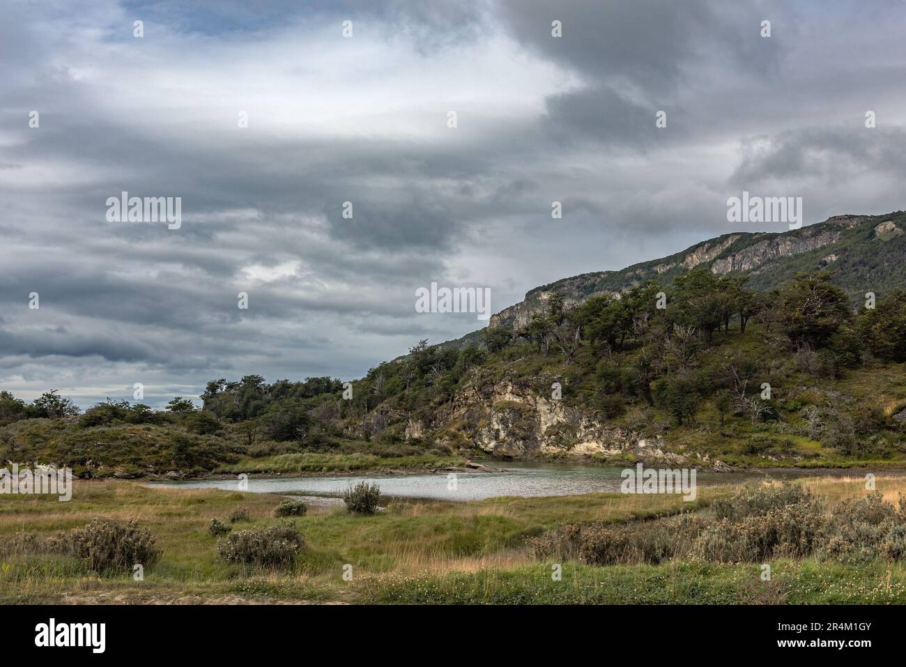 Paesaggio nel Parco Nazionale della Terra del fuoco, Patagonia, Argentina Foto Stock