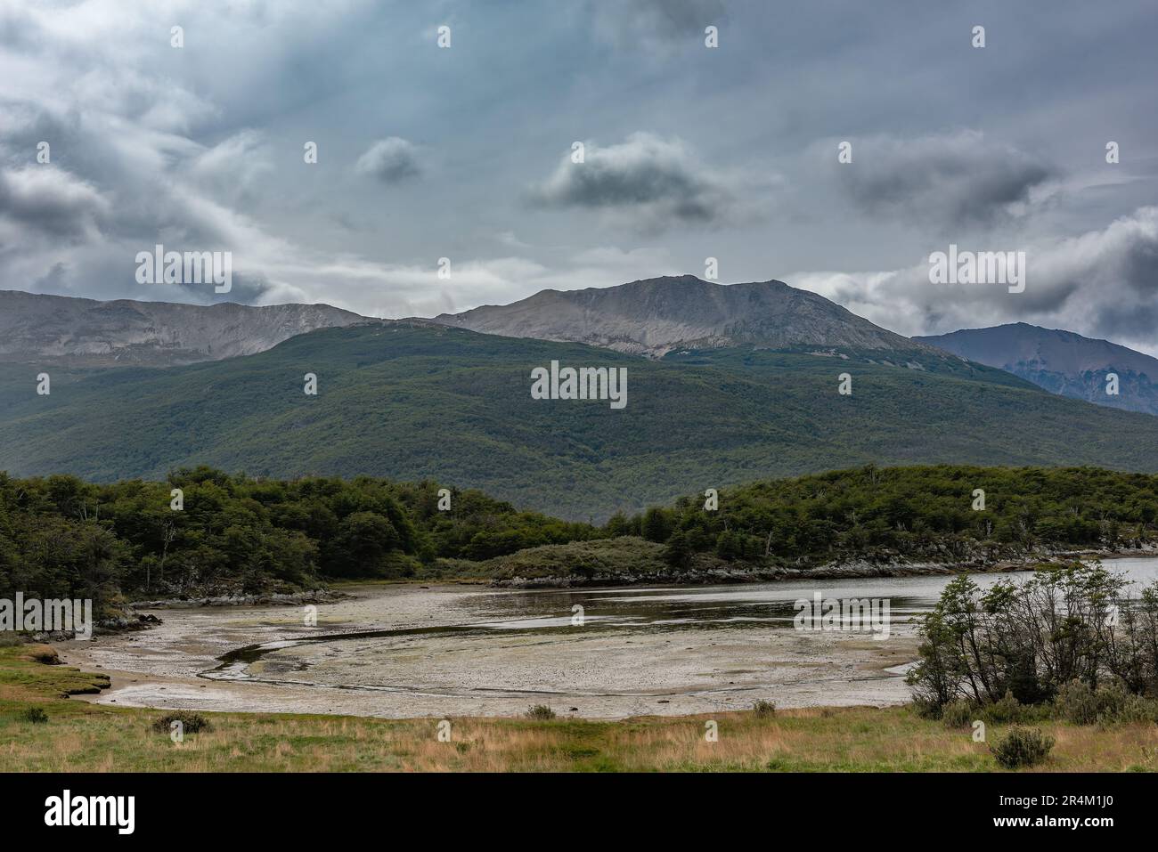 Paesaggio nel Parco Nazionale della Terra del fuoco, Patagonia, Argentina Foto Stock