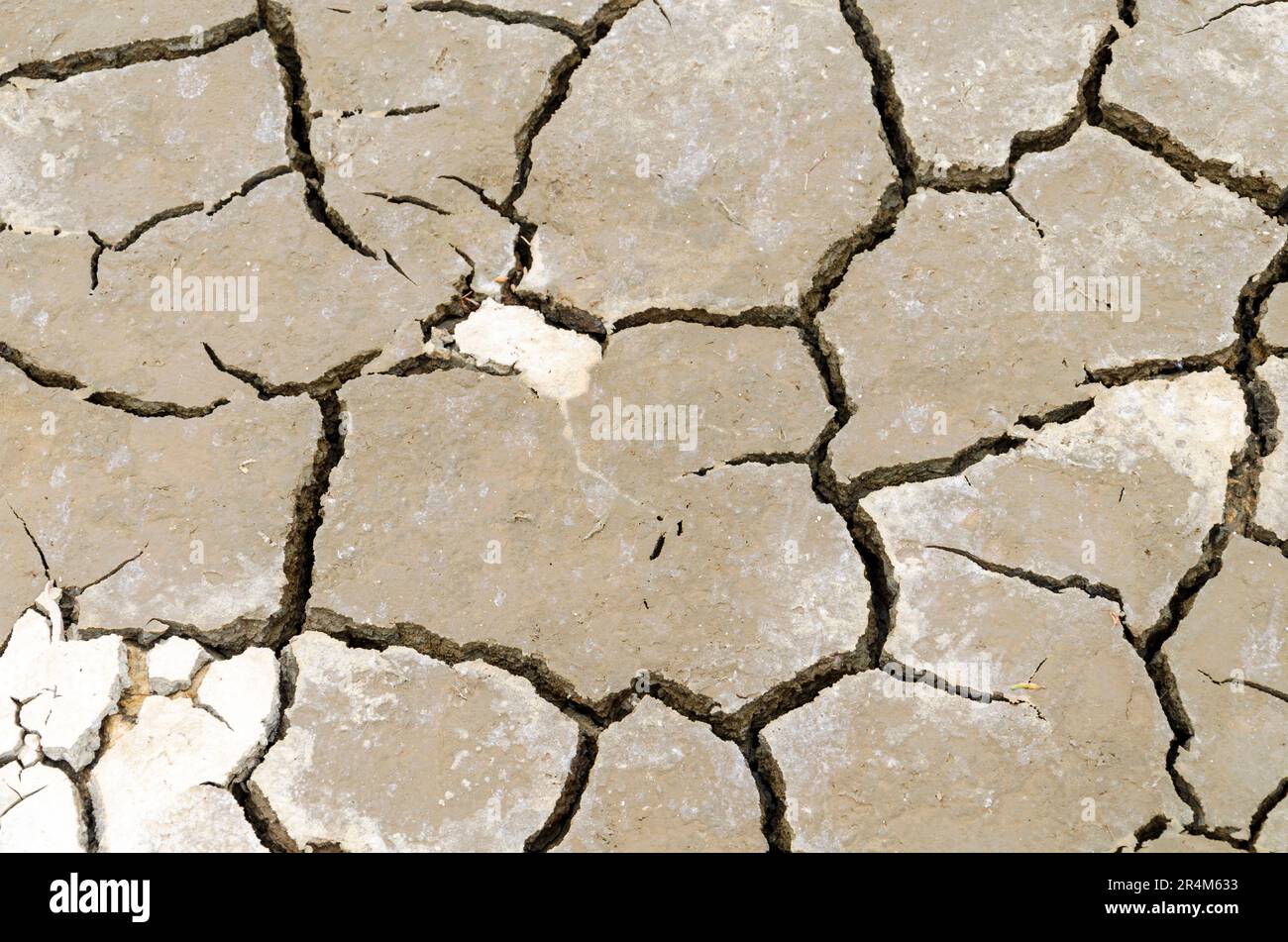 Primo piano di terra secca spaccata su saline ad Alykes, Grecia con spazio copia, utile come sfondo Foto Stock