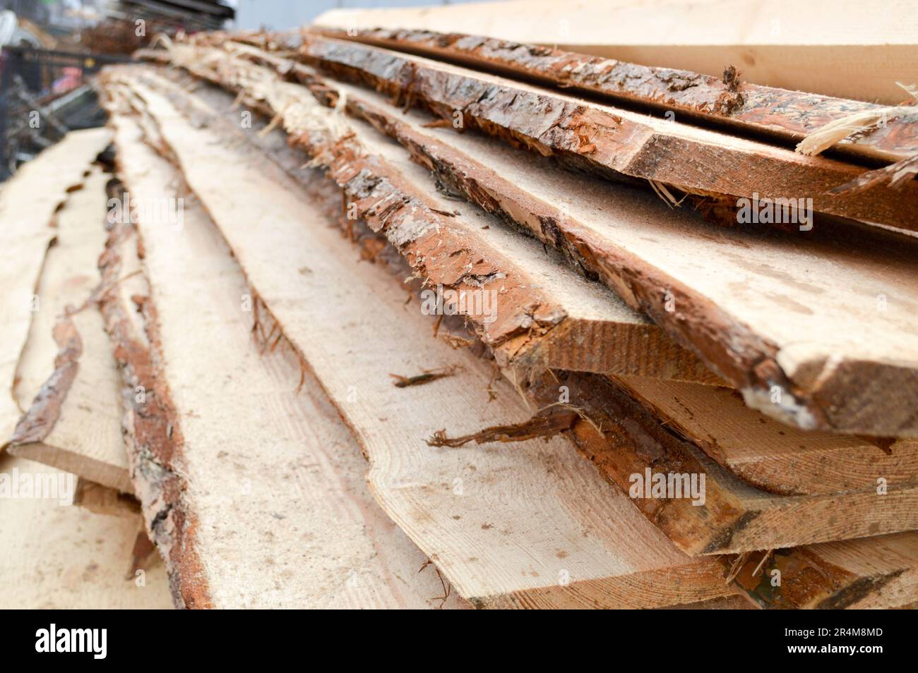 Un sacco di lunghe tavole di legno naturale piallate e bastoni in una segheria. Lo sfondo. Trama. Concetto: Raccolta del legname per l'industria del legno. Foto Stock