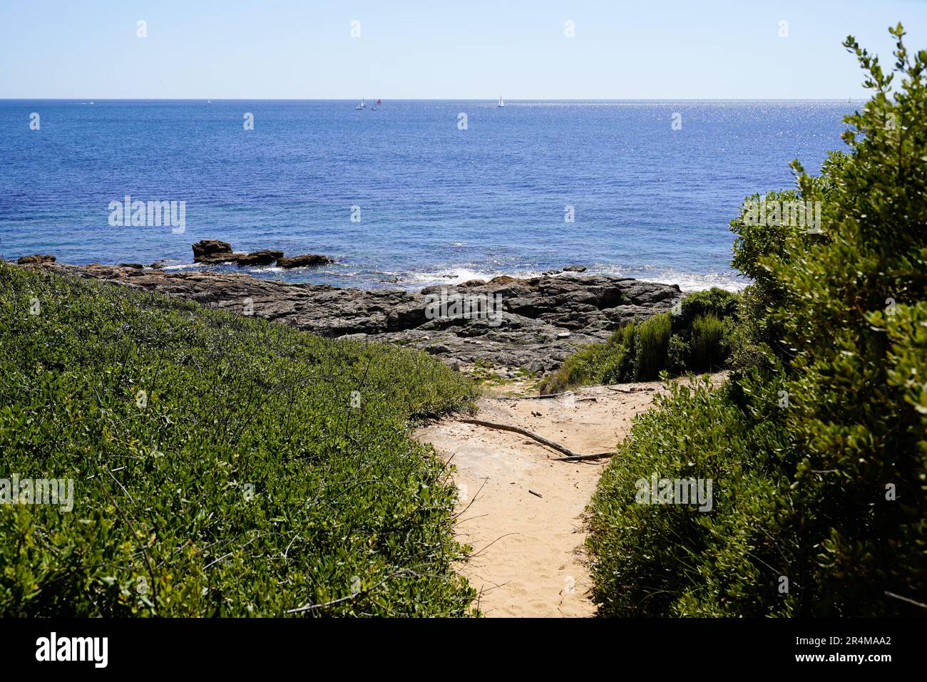 Percorso costa oceano spiaggia mare a Talmont-Saint-Hilaire vendee Atlantico in francia Foto Stock