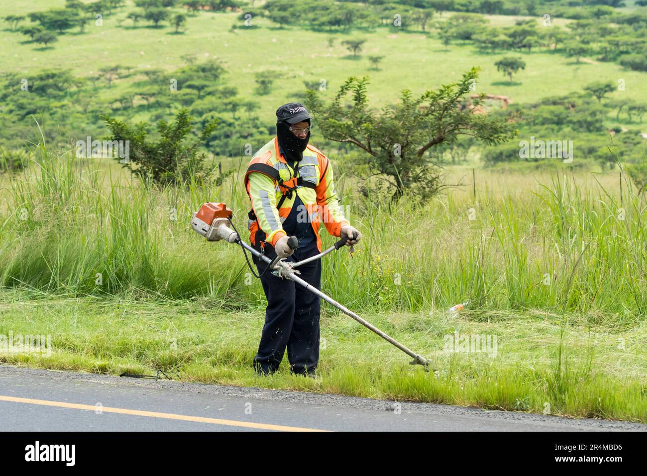 Donna africana che usa una macchina falciante di erbacce o un trimmer che taglia l'erba verge su un concetto di manutenzione di strada giardinaggio in Sudafrica Foto Stock