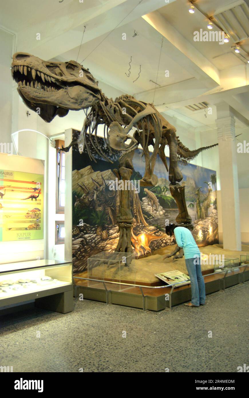 Una donna visitatrice sta leggendo le informazioni sotto una ricostruzione di un Tyrannosaurus rex al Museo Geologi (Museo di Geologia) a Bandung, Giava Occidentale, Indonesia. Foto Stock