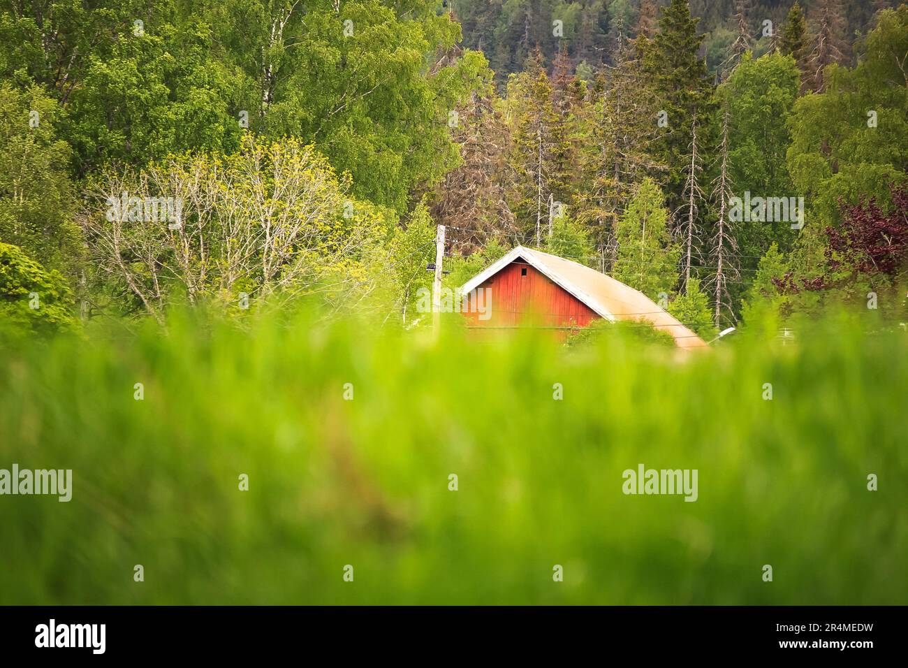 Casa di legno nella foresta - Bogstad Foto Stock