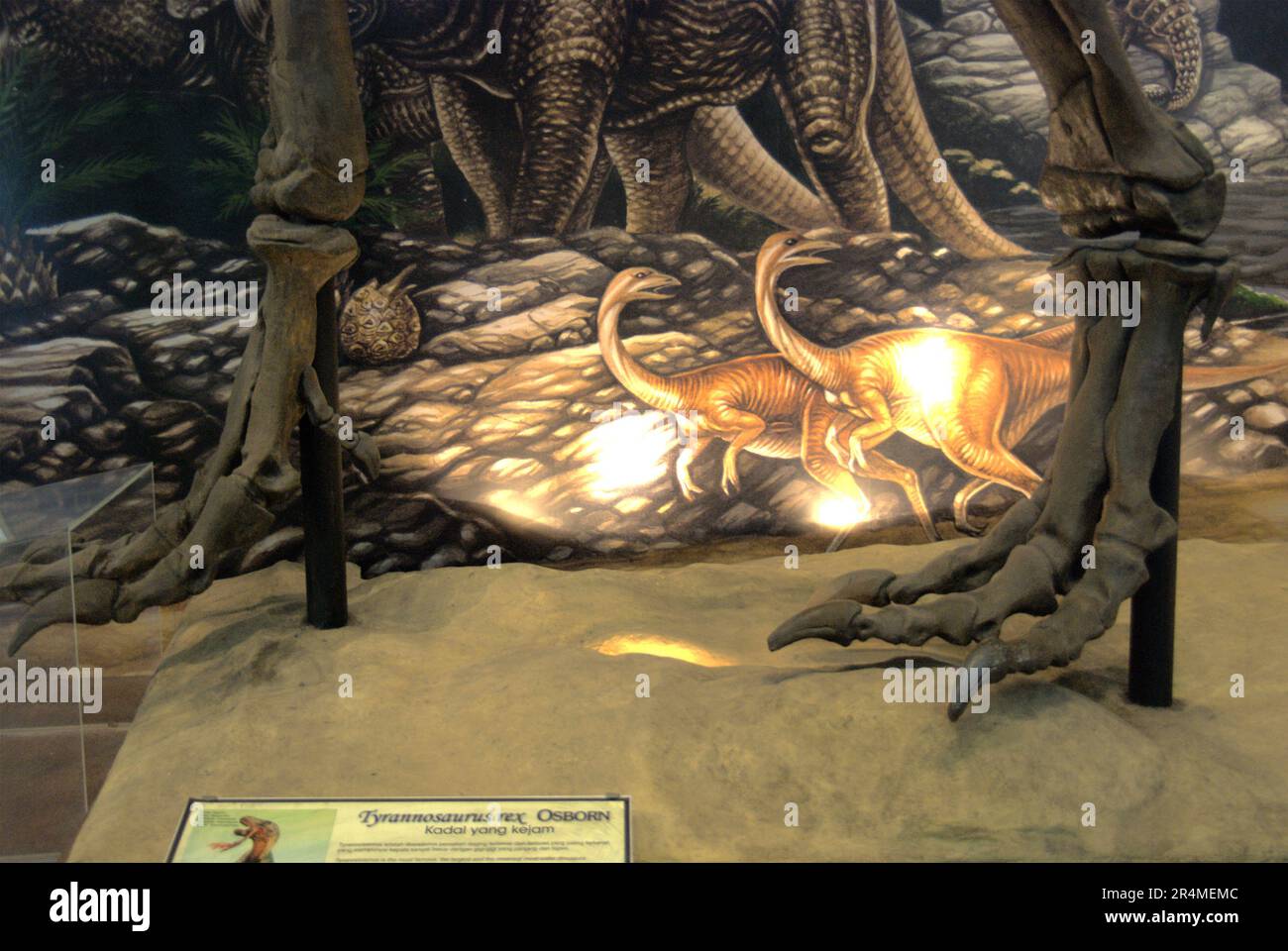 Piedi di una ricostruzione Tyrannosaurus rex, in uno sfondo di poster educativo al Museo Geologi (Museo di Geologia) a Bandung, Giava Occidentale, Indonesia. Foto Stock