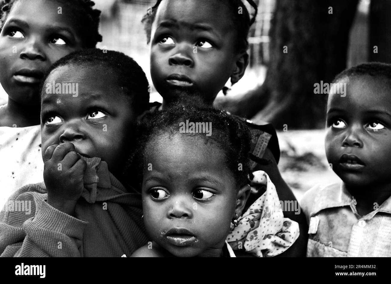 Un ritratto di bambini mozambicani a Mocimboa da Praia, Mozambico. Foto Stock