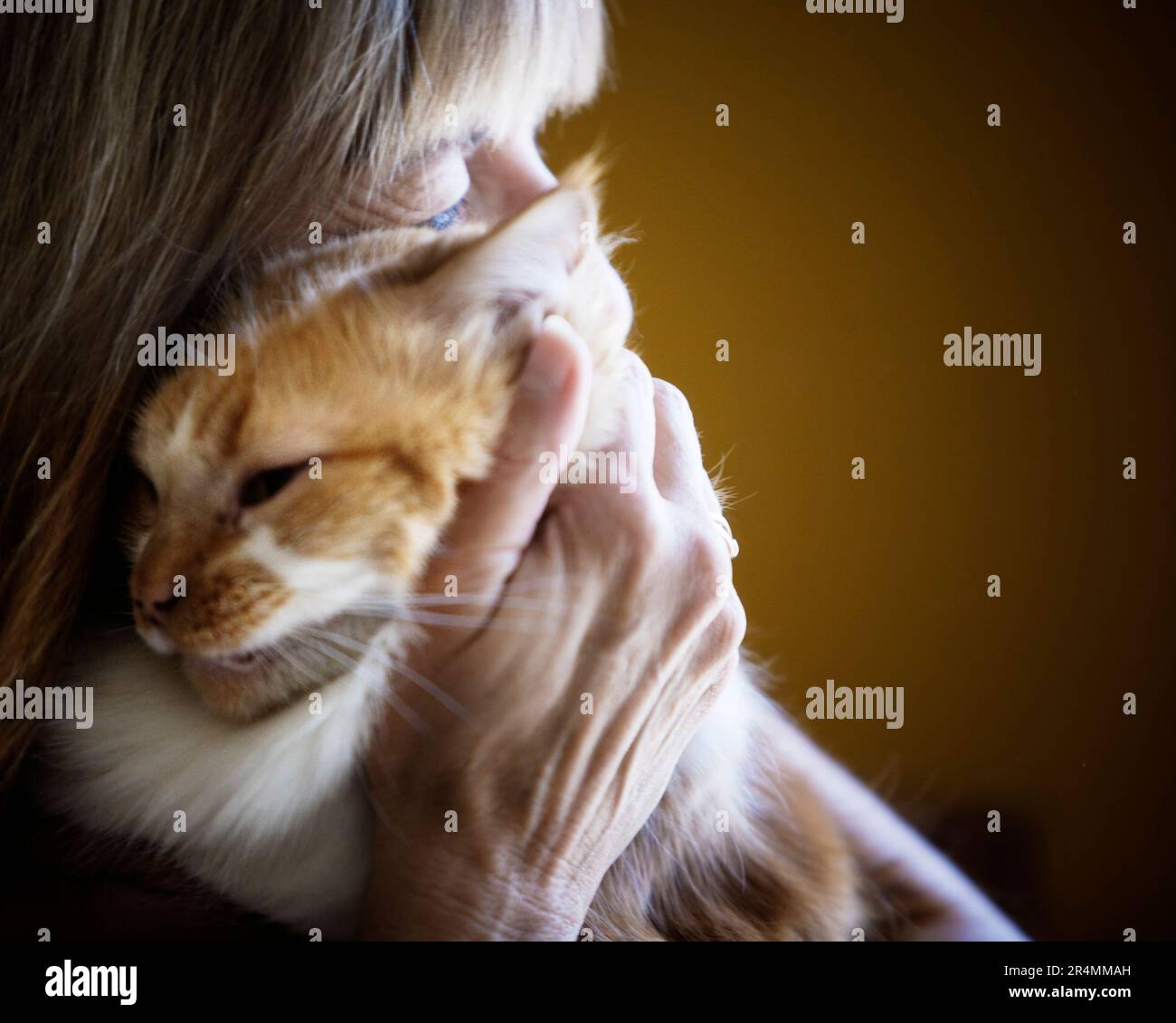 Una donna che tiene amorevolmente il suo gatto. Foto Stock