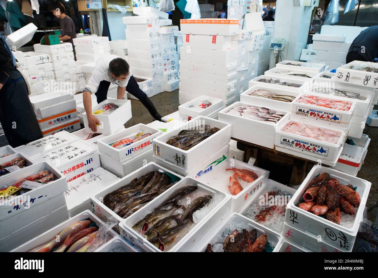 Un uomo che muove pesce fresco confezionato in scatole di Styrofoam in un mercato del pesce, Tokyo, Giappone. Foto Stock