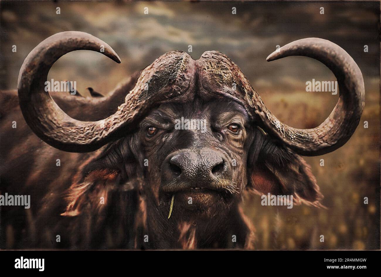 Capo bufalo, Serengeti, Africa orientale Foto Stock