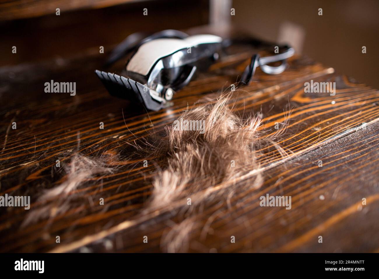 Pelo appena tagliato su sedia con tagliacavi sullo sfondo Foto Stock