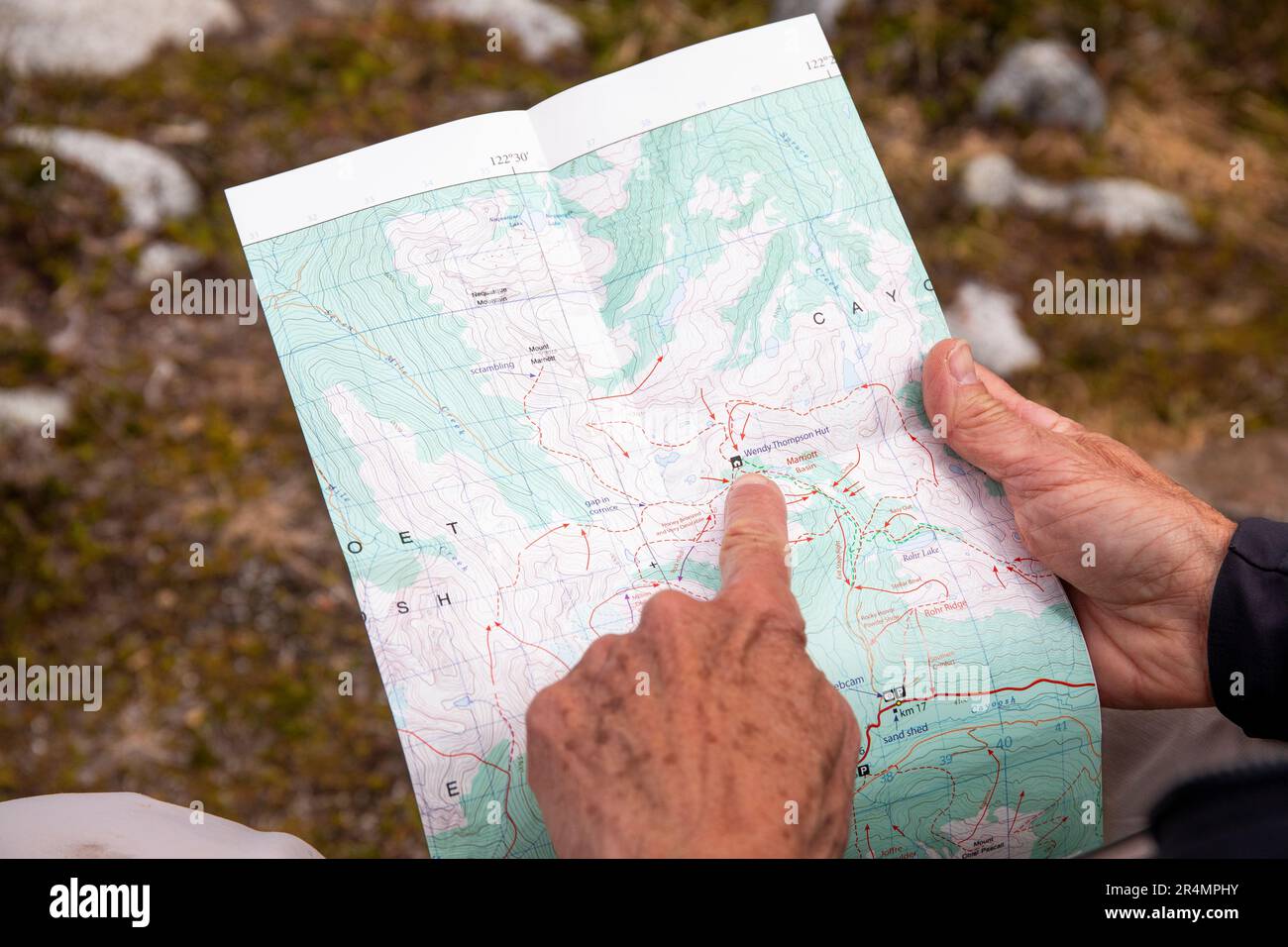Vista laterale di una donna con zaino che guarda una mappa durante le escursioni. Foto Stock