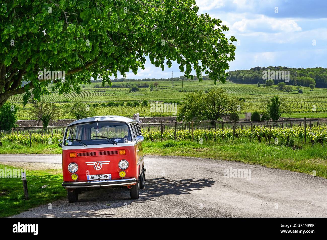 Karine Gautier di Loire Vintage Discovery porta gli ospiti di tour dei dintorni di Saumur nel suo veicolo Volkswagen d'epoca, Francia Foto Stock