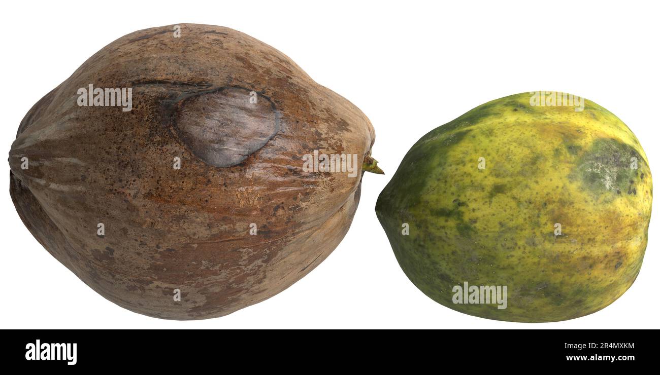 3d illustrazione di papaya, cocco isolato su sfondo bianco Foto Stock