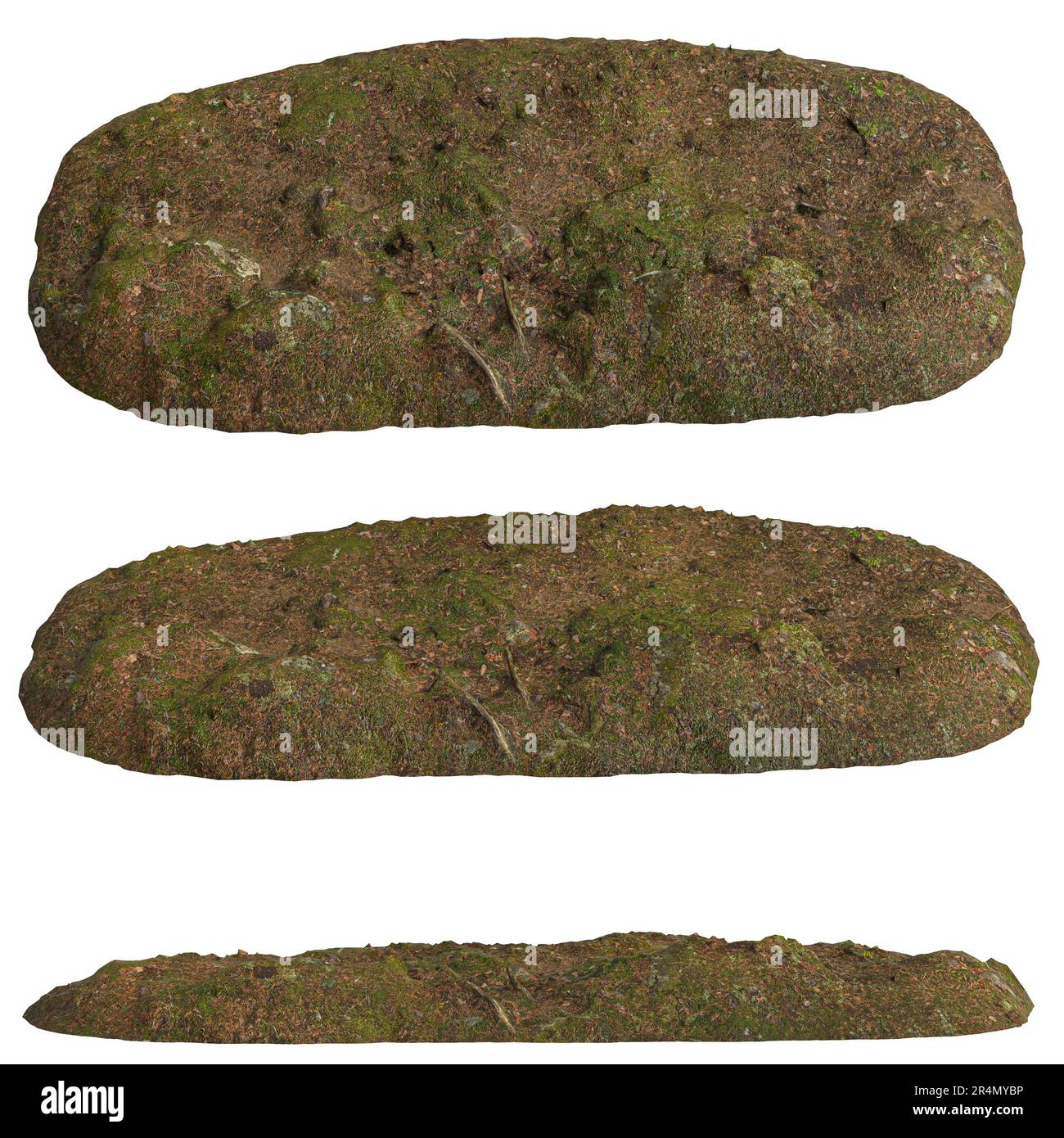 3d illustrazione di terra, muschio coperto a secco isolato su sfondo bianco Foto Stock