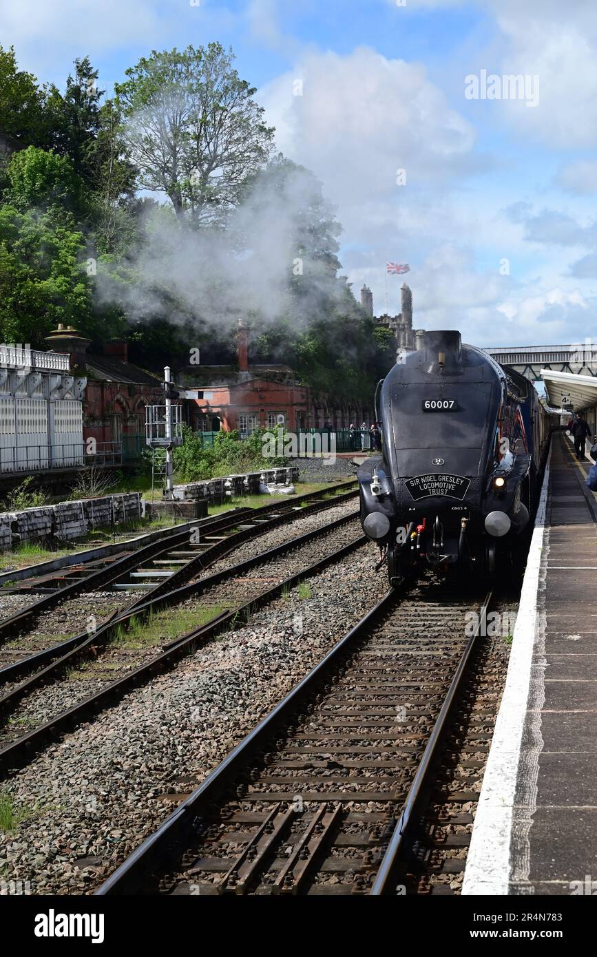 Classe A4 Pacifico n. 60007 Sir Nigel Gresley alla stazione di Shrewsbury in attesa di tornare a Bristol con il Welsh Marches Express railtour. Foto Stock