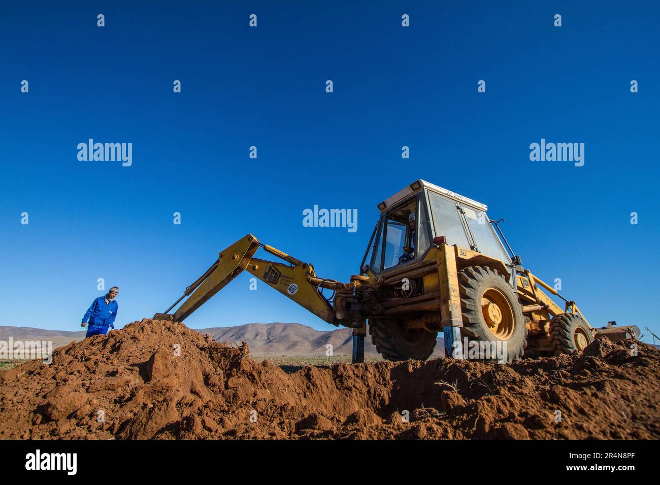 Preparazione del terreno: Farmer gestisce un Digger per creare buchi di semina per gli alberi di mandorle Foto Stock