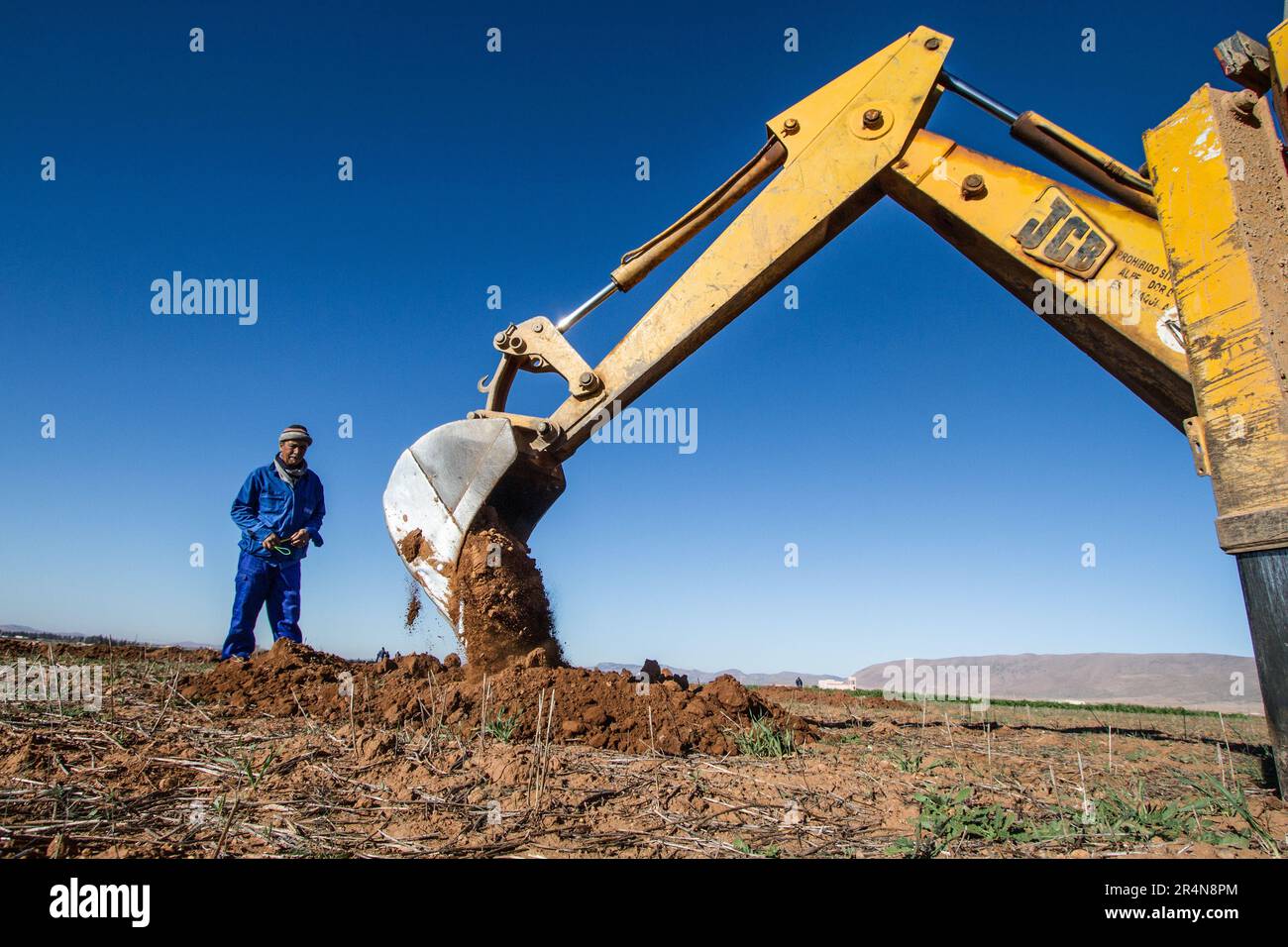 Terreno per la piantagione: Coltivatore che perfora fori con un Digger nel suo campo per gli alberi di mandorle Foto Stock