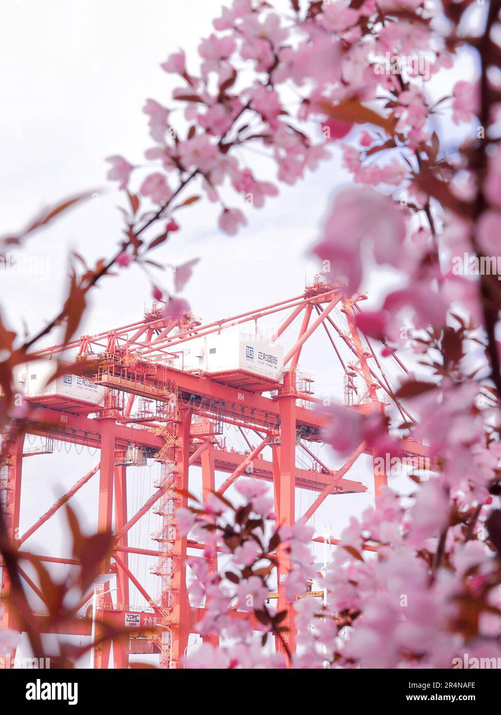 SUZHOU, CINA - 29 APRILE 2023 - (FILE) il porto di Taicang nel Mare dei fiori a Suzhou, provincia di Jiangsu, Cina, 29 marzo 2023. Foto Stock