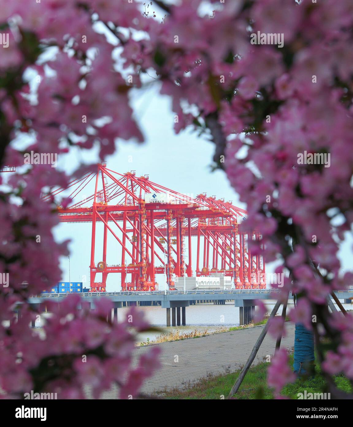 SUZHOU, CINA - 29 APRILE 2023 - (FILE) il porto di Taicang nel Mare dei fiori a Suzhou, provincia di Jiangsu, Cina, 29 marzo 2023. Foto Stock