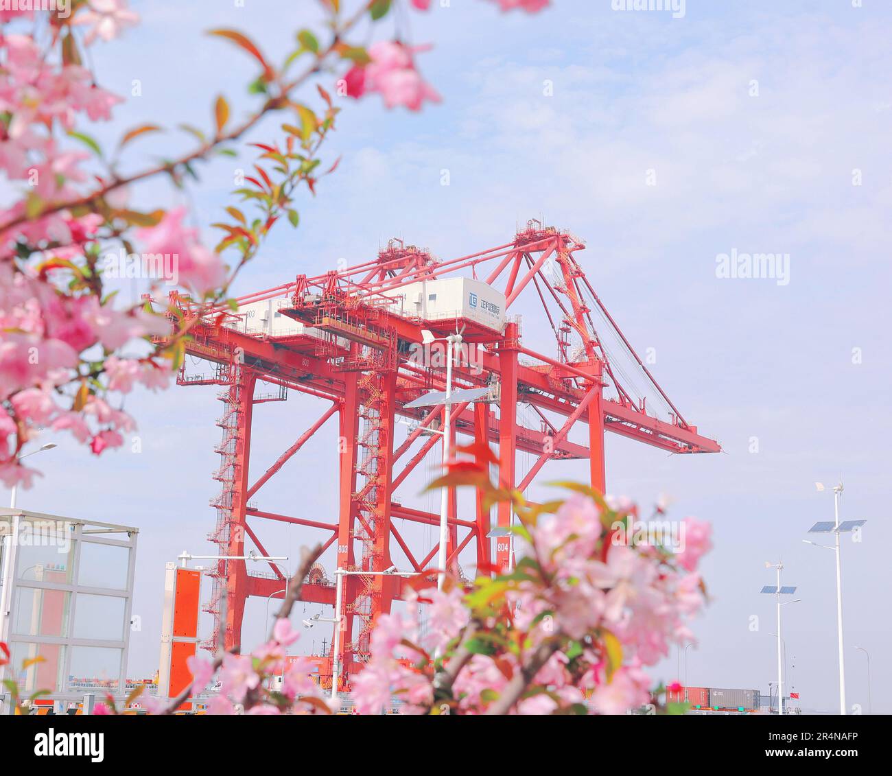 SUZHOU, CINA - 29 APRILE 2023 - (FILE) il porto di Taicang nel Mare dei fiori a Suzhou, provincia di Jiangsu, Cina, 29 marzo 2023. Foto Stock