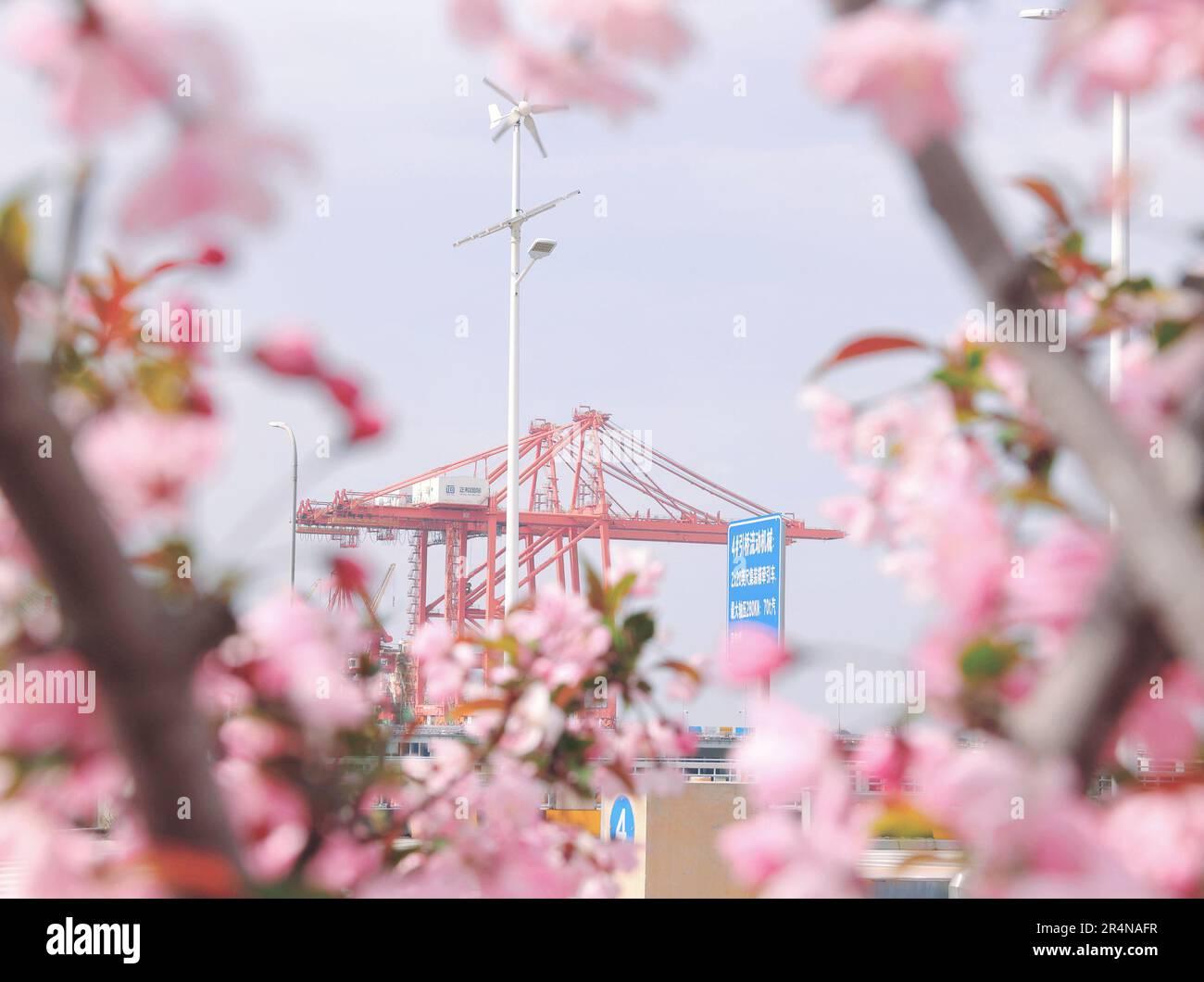 SUZHOU, CINA - 29 APRILE 2023 - (FILE) il porto di Taicang nel Mare dei fiori a Suzhou, provincia di Jiangsu, Cina, 29 marzo 2023. Foto Stock