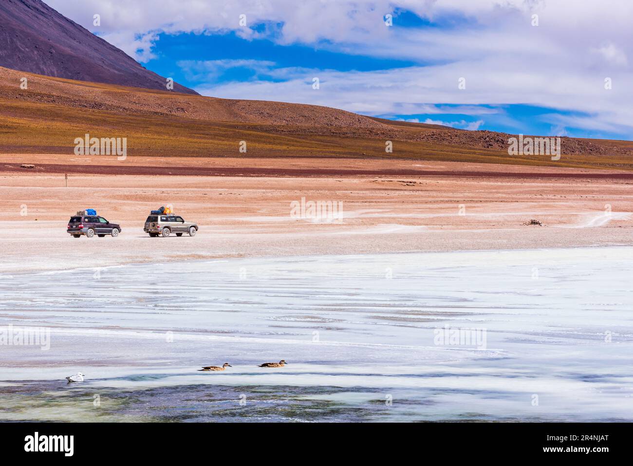 Due pickup sul bordo di una laguna ghiacciata nell'altopiano boliviano Foto Stock