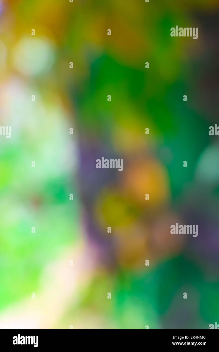 Bella immagine di sfondo sfocata della natura primavera, sfondo sfocato naturale e chiaro, sfocato sfondo sfocato, sfondo vacanza, verde bokeh astratto Foto Stock