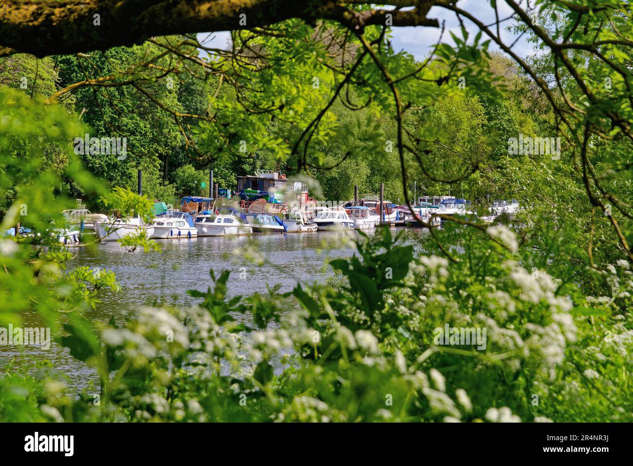 Il Riverside a Twickenham in una calda giornata estiva Greater London England UK Foto Stock