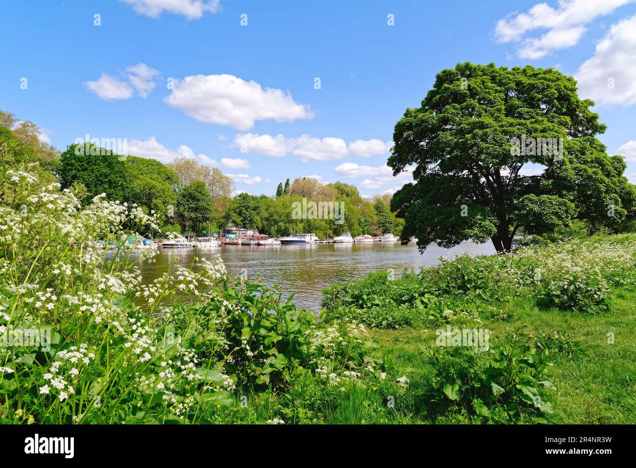 Il Riverside a Twickenham in una calda giornata estiva Greater London England UK Foto Stock