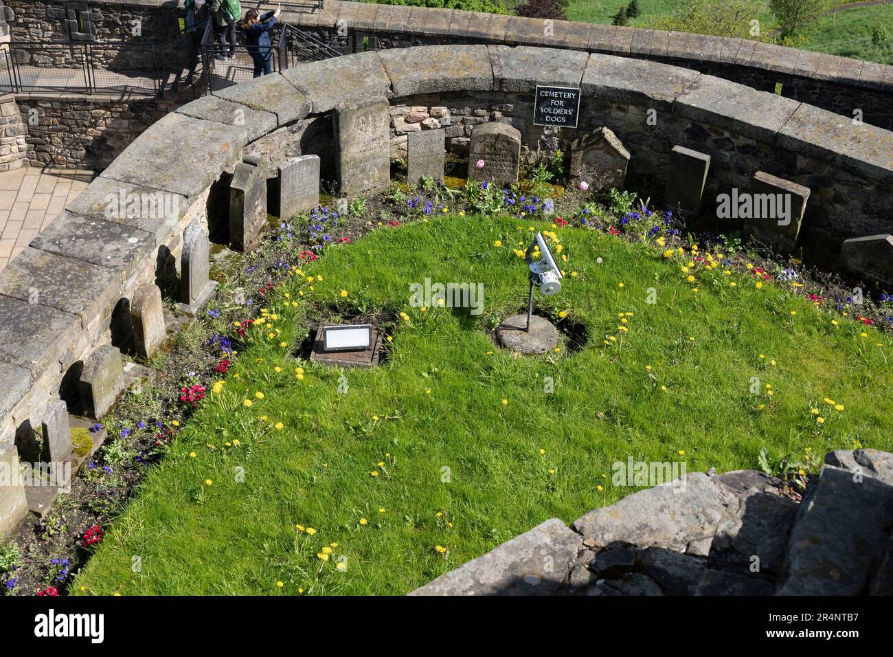 Cemetery for Soldiers dogs in Edinburgh Castle, Scotland, Regno Unito. Piccolo cimitero giardino per cani di soldati reggimentali e ufficiali che da Foto Stock