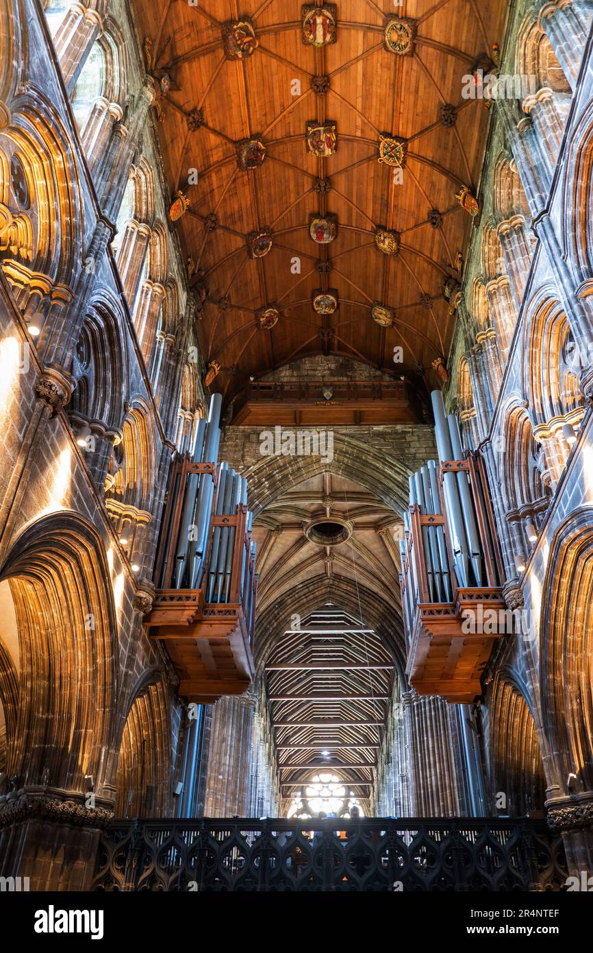 Interno della Cattedrale di Glasgow nella città di Glasgow, Scozia, Regno Unito. Chiesa gotica risalente al 12th ° secolo, volta e organi di tubo in coro Foto Stock