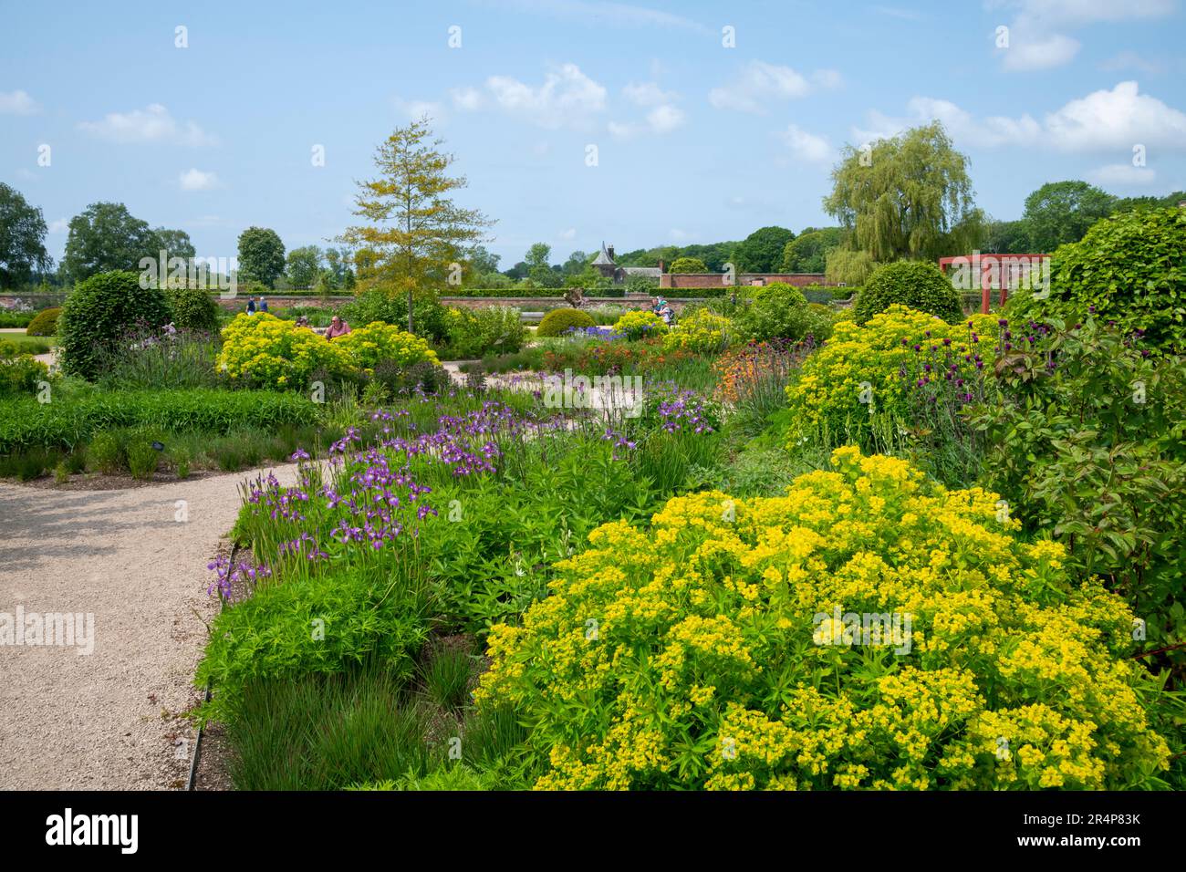 Aiuole nel giardino di benvenuto a RHS Bridgewater, Worsley Greater Manchester, Inghilterra. Foto Stock