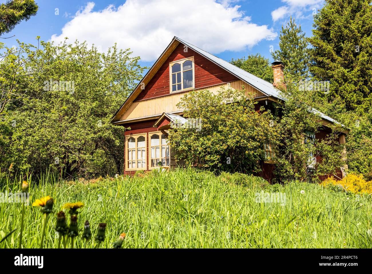 Cottage in legno a verde collina in giardino verde in villaggio il giorno di maggio soleggiato Foto Stock