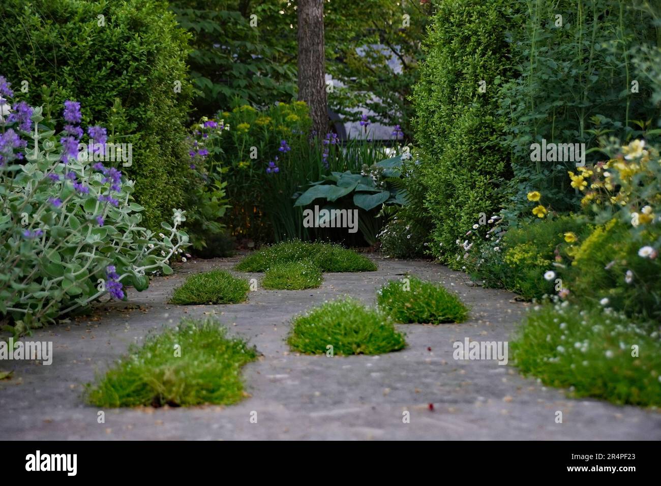 I giardini premiati al Chelsea Flower Show 2023, incluso il vincitore dell'oro. Da sentieri e aiuole a strutture da giardino Foto Stock