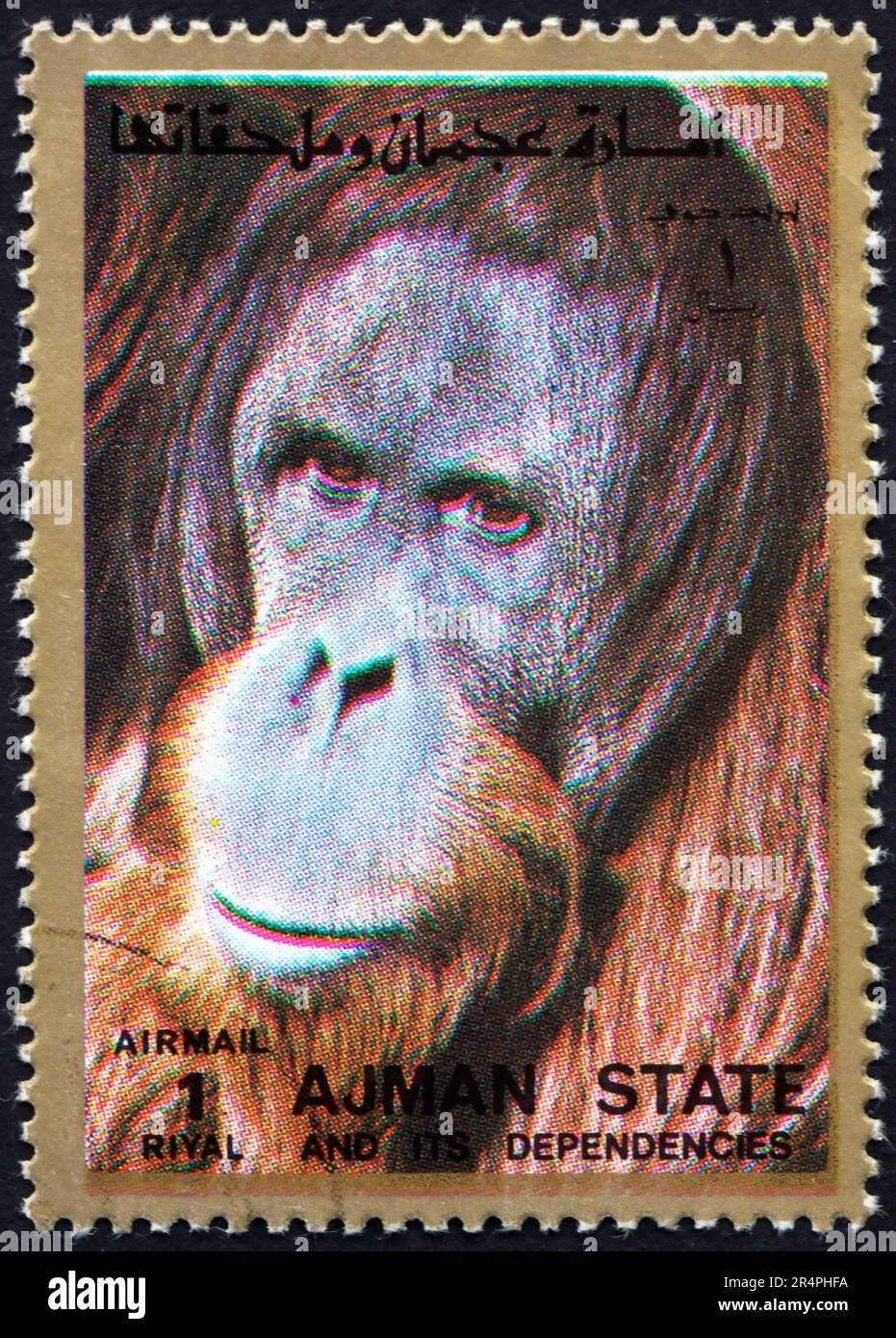 AJMAN - CIRCA 1973: Un francobollo stampato in Ajman mostra Orangutan del Borneo, Pango pygmaeus, è una specie di Orangutan endemico dell'isola di Borneo, circa Foto Stock