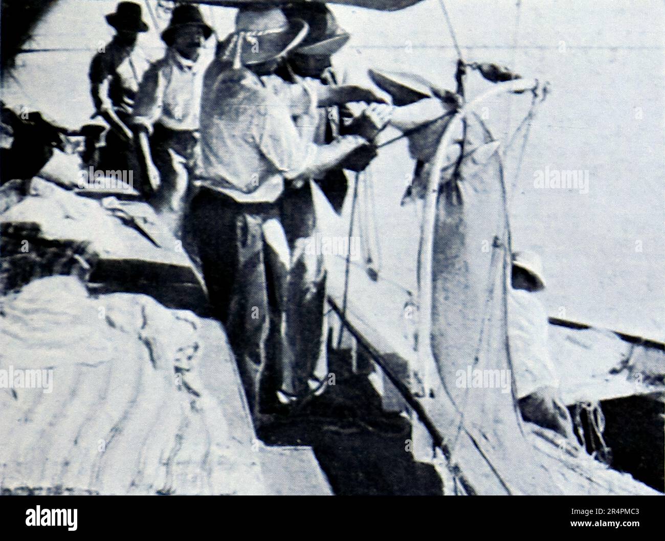 La spedizione sottomarina di Williamson del 1914 è stata la prima a rivelare alcuni dei tesori sotto la superficie dell'oceano. Grazie in gran parte a tecniche fotografiche innovative la biologia marina intorno alle Bahamas è entrata in vita. Questa foto mostra: Una porpoise catturata dalla spedizione. Foto Stock