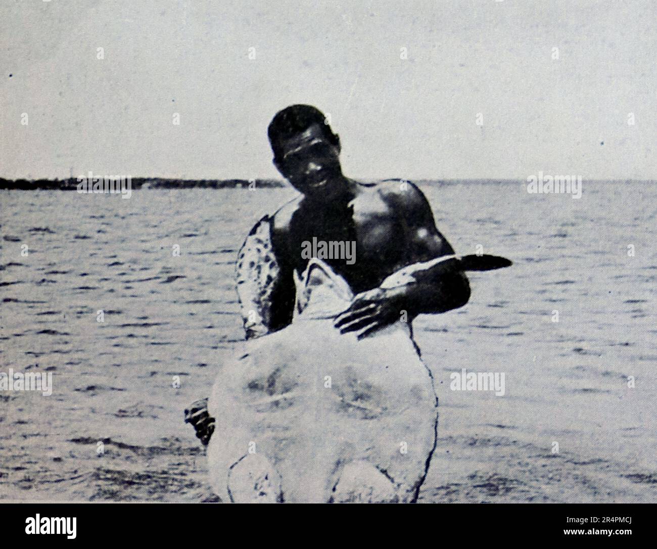 La spedizione sottomarina di Williamson del 1914 è stata la prima a rivelare alcuni dei tesori sotto la superficie dell'oceano. Grazie in gran parte a tecniche fotografiche innovative la biologia marina intorno alle Bahamas è entrata in vita. Questa foto mostra: Nativo con una tartaruga catturata. Foto Stock